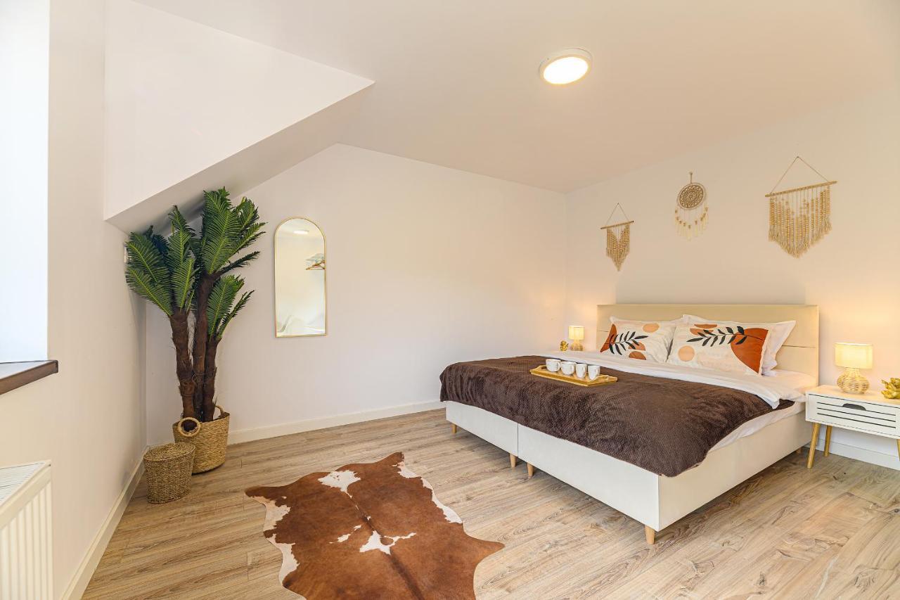 Safari Family Villas Near Park Aventura,Lake,Zoo Braşov Extérieur photo